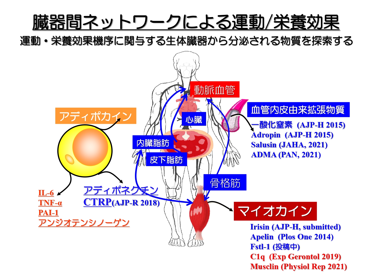 研究テーマ
