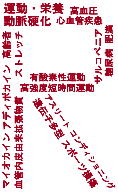 研究分野