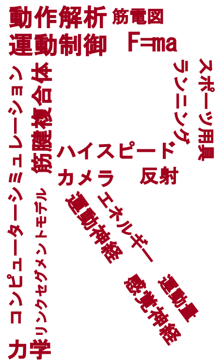 研究分野