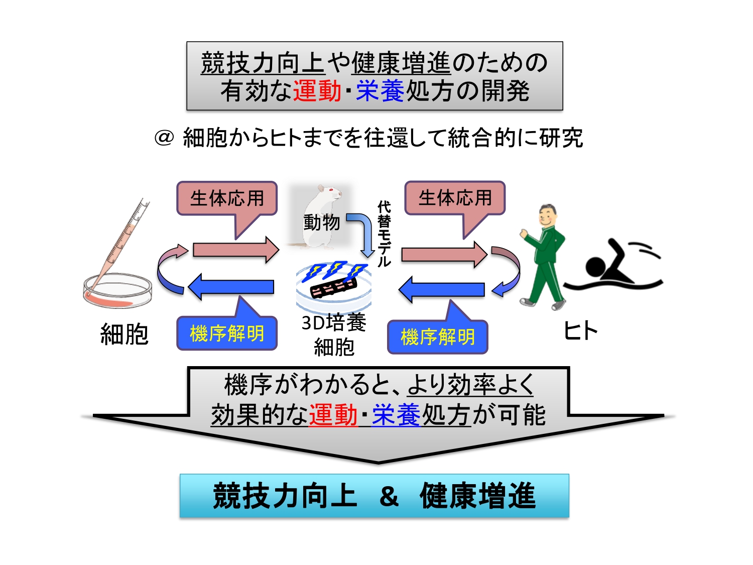 研究テーマ