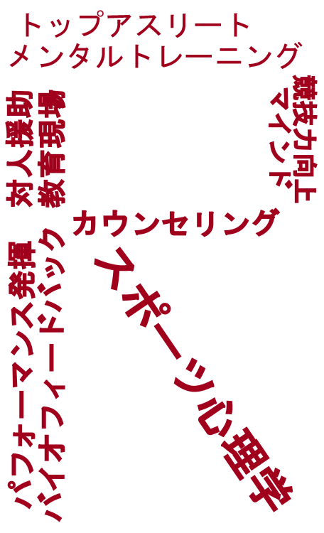 研究分野