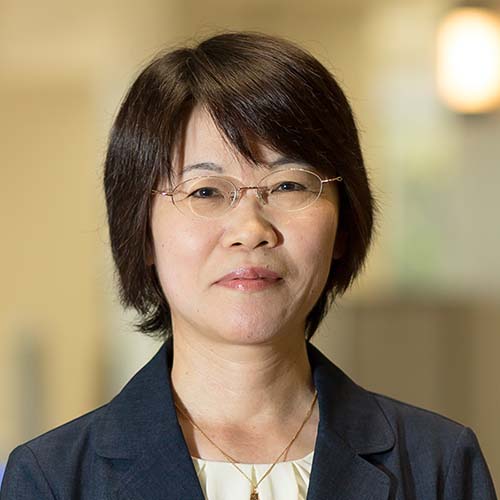 Manako OGAWA Professor