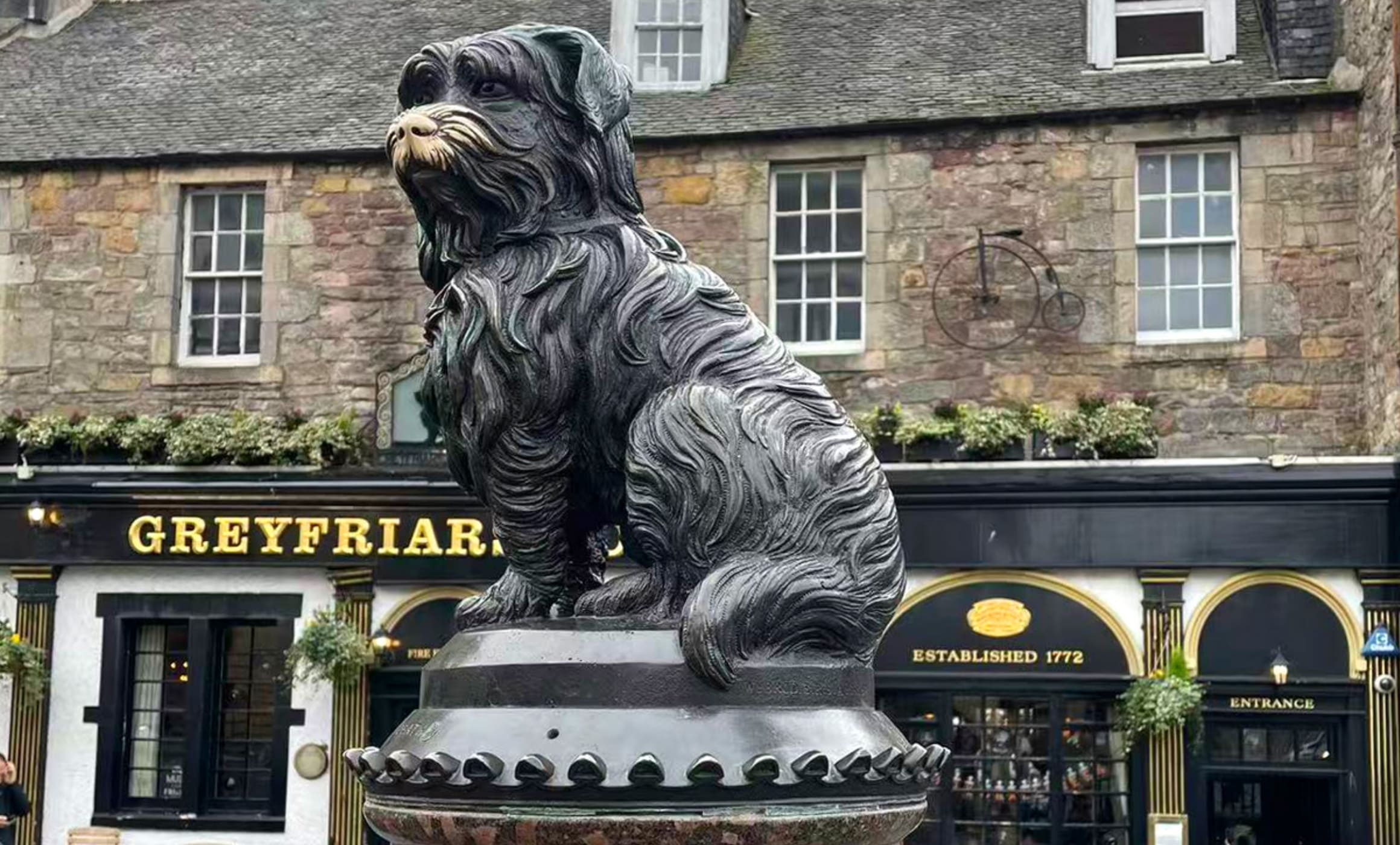 GRGP参加者のイメージ03