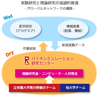 実験研究と理論研究の協調的推進