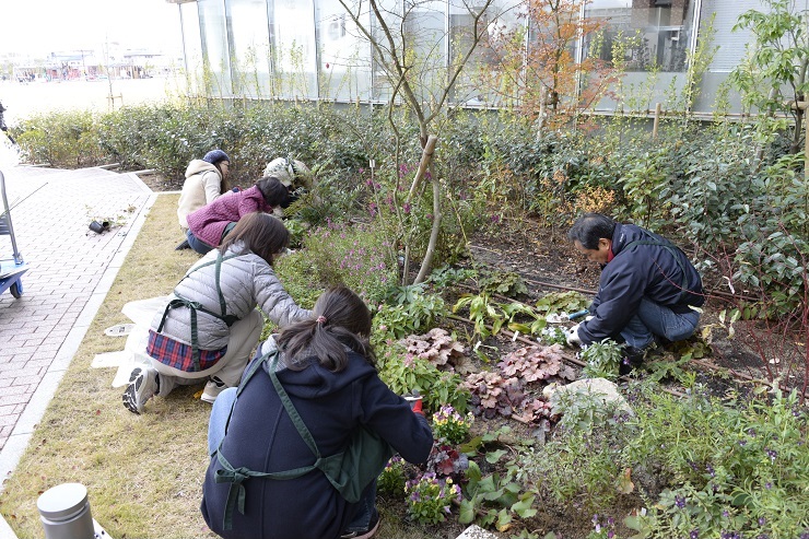 ワールドガーデンではビオラを補植し、水やりを行ないました。