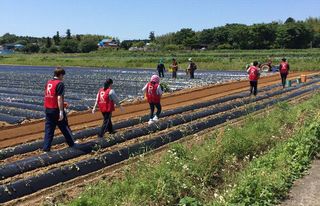 西原村の農作業