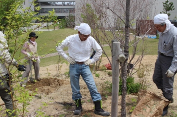 コミュニティ共創プロジェクト「育てる里山プロジェクト」