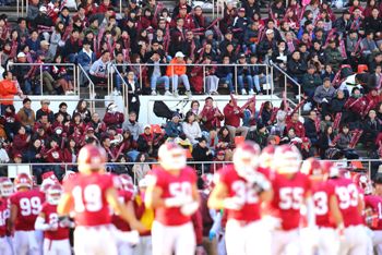 選手に熱い声援を送るスタンド（写真／アフロ）