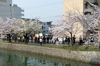 満開の桜の中来場する新入生とご家族