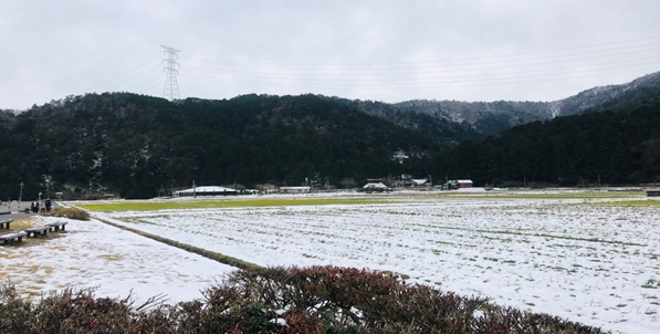 190122u.jpg 02
