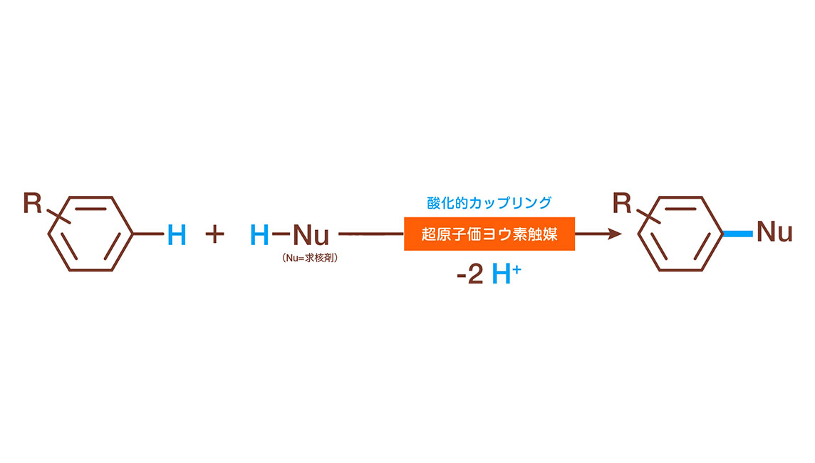 未来の医療、暮らしを革新する新しい化学合成を創出する