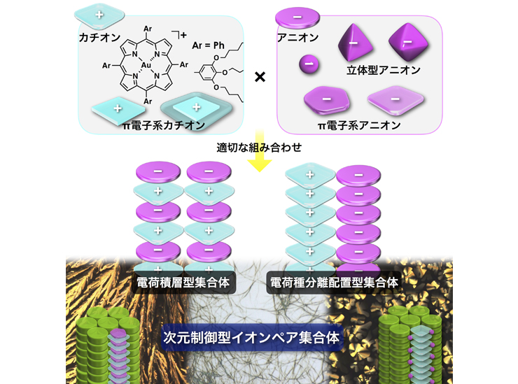 構成するイオンの形状に依存して組織構造の変調が可能な集合体・機能性材料の創製