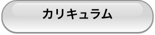 カリキュラム