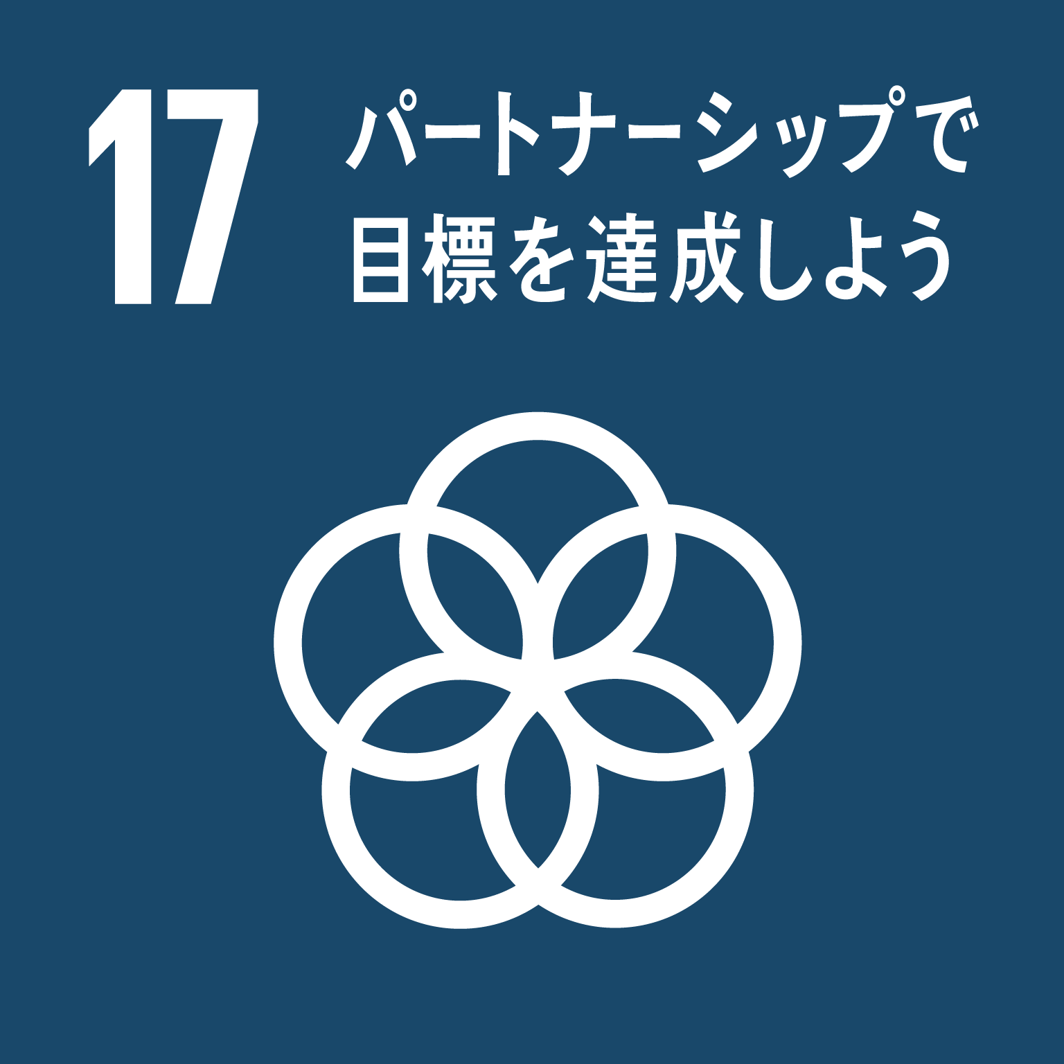 [icon]sdg17