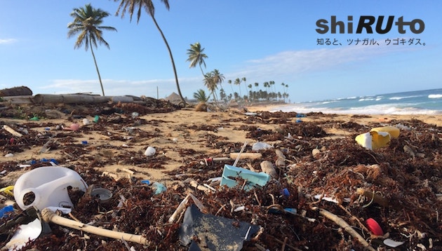 【shiRUto】マイストローで海洋プラスチックは減る？ 容器包装プラ削減への発展がカギ