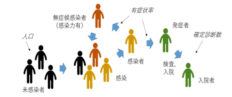 感染者プロセスと発症・診断の関係。斜体は使用した数値データを示す。