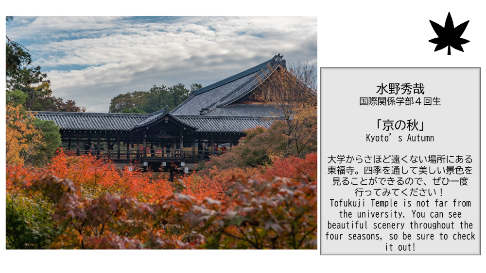 (Kinugasa) 【BBPフォトコンテスト】WEB写真展覧会 No.5