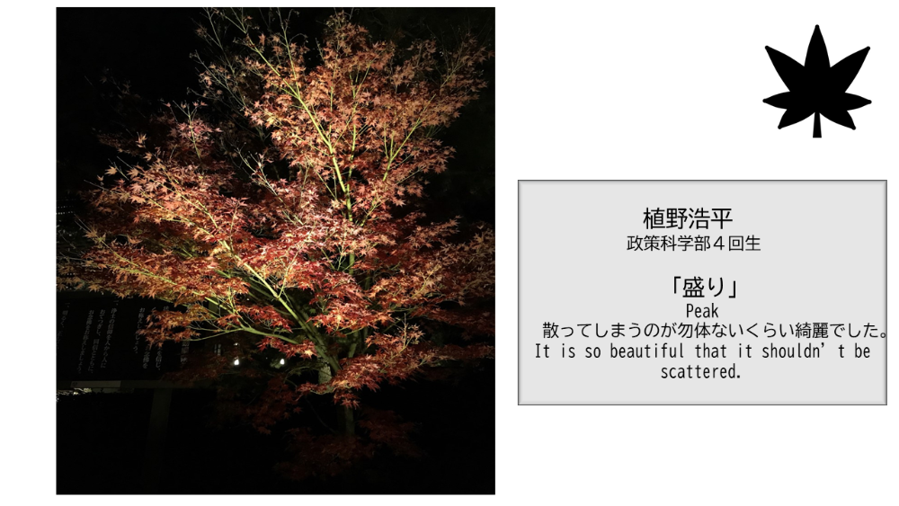 (Kinugasa) 【BBPフォトコンテスト】WEB写真展覧会 No.11