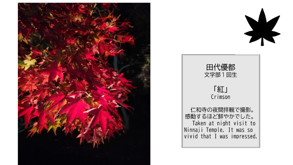(Kinugasa) 【BBPフォトコンテスト】WEB写真展覧会 No.12