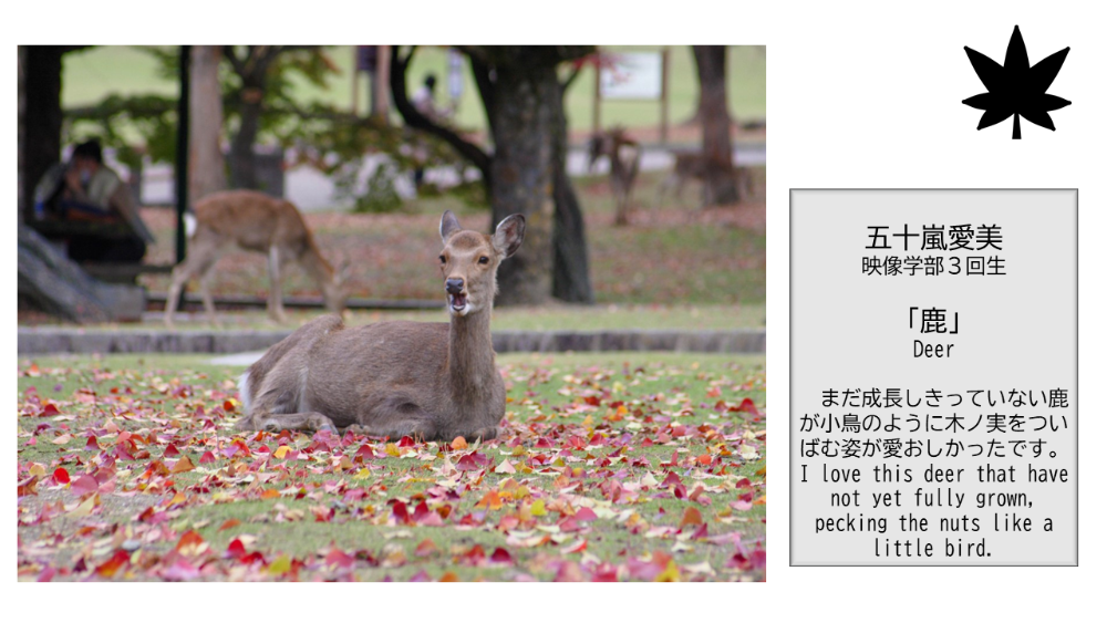 (Kinugasa) 【BBPフォトコンテスト】WEB写真展覧会 No.13