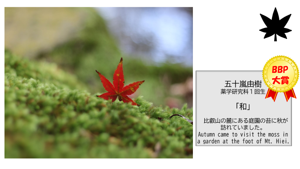 (Kinugasa) 【BBPフォトコンテスト】WEB写真展覧会 No.15