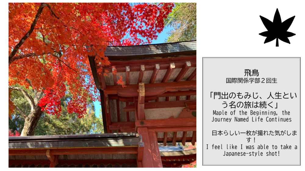 (Kinugasa) 【BBPフォトコンテスト】WEB写真展覧会 No.19