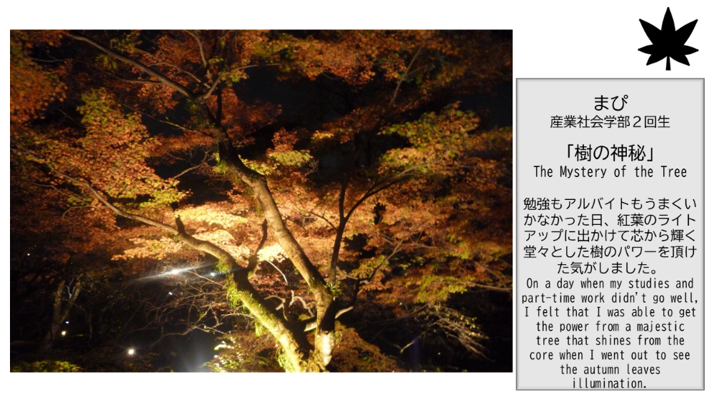 (Kinugasa) 【BBPフォトコンテスト】WEB写真展覧会 No