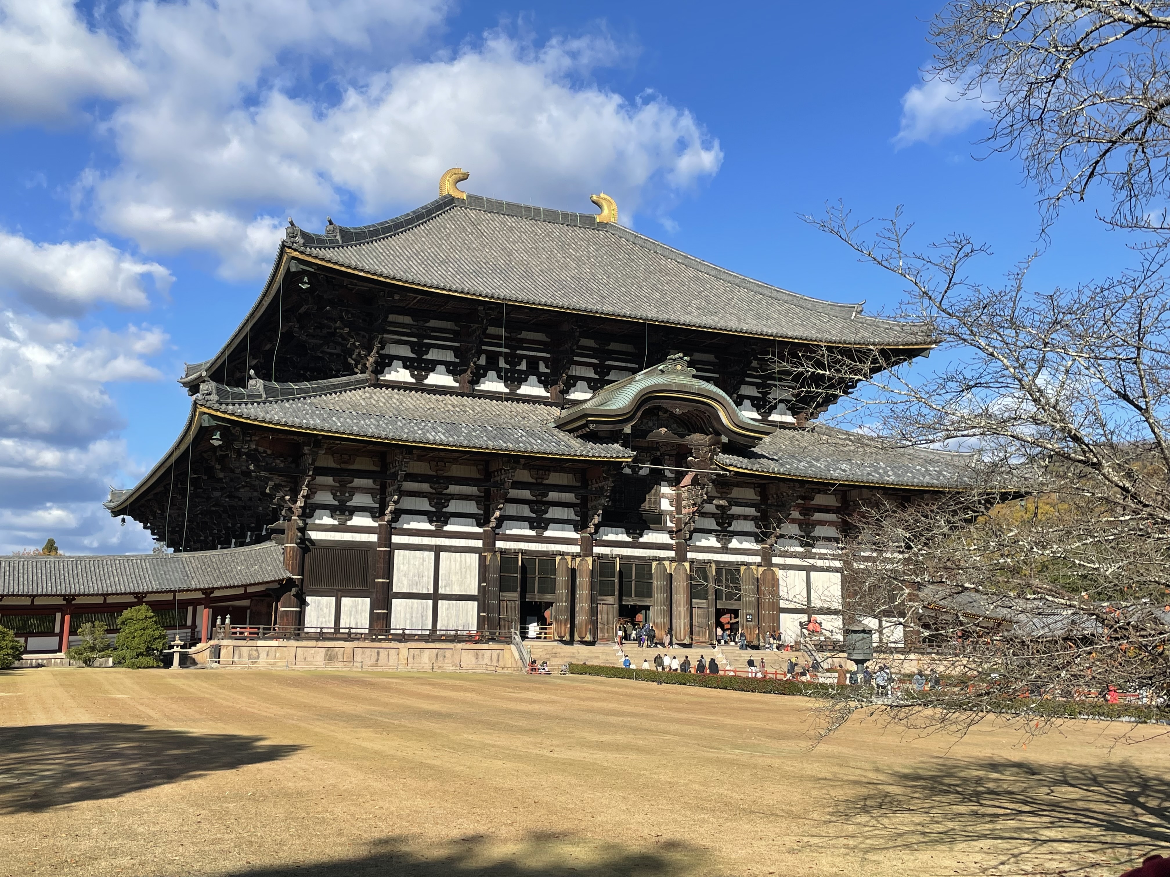 211127-28_nara 211127-28_nara8