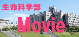 生命科学部｜生命科学研究科｜Movie