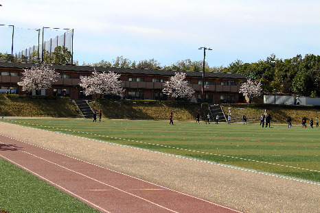 220401桜4