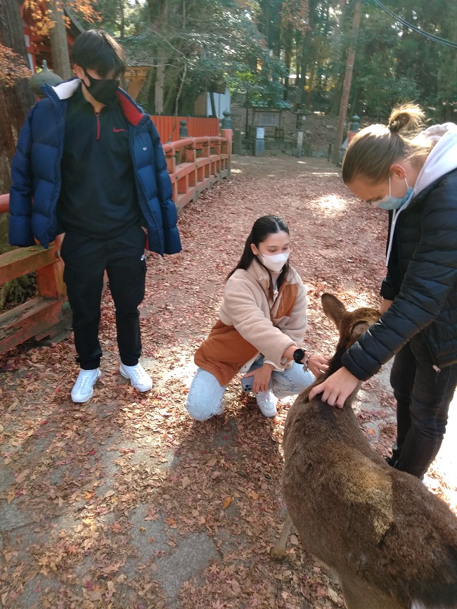 221220留学6