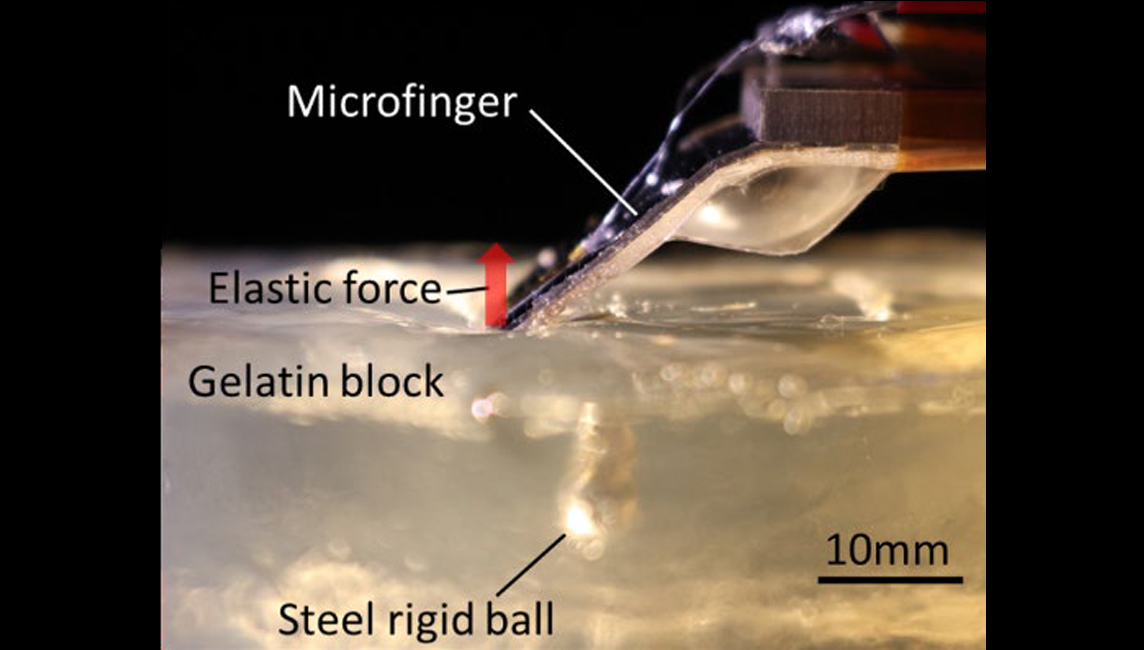 “曲げながら触る”指の触覚特性を活かした体内への応用潜在性が高い最新技術！指向性マイクロフィンガーによる硬さの触診技術を開発