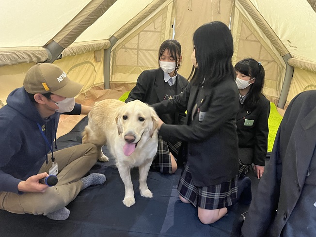 230218_WOW_Dog04