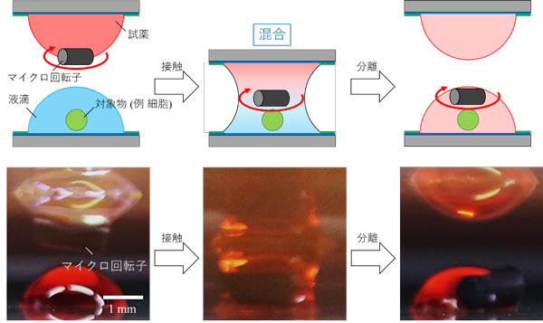 20230719小西先生論文2