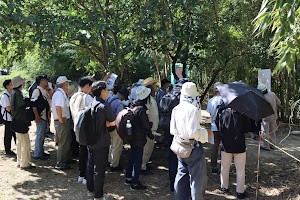 久津川車塚2023ー２