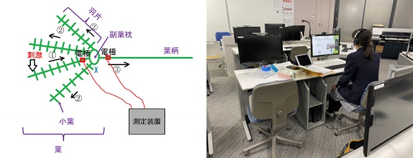 nkc/news_220325_1