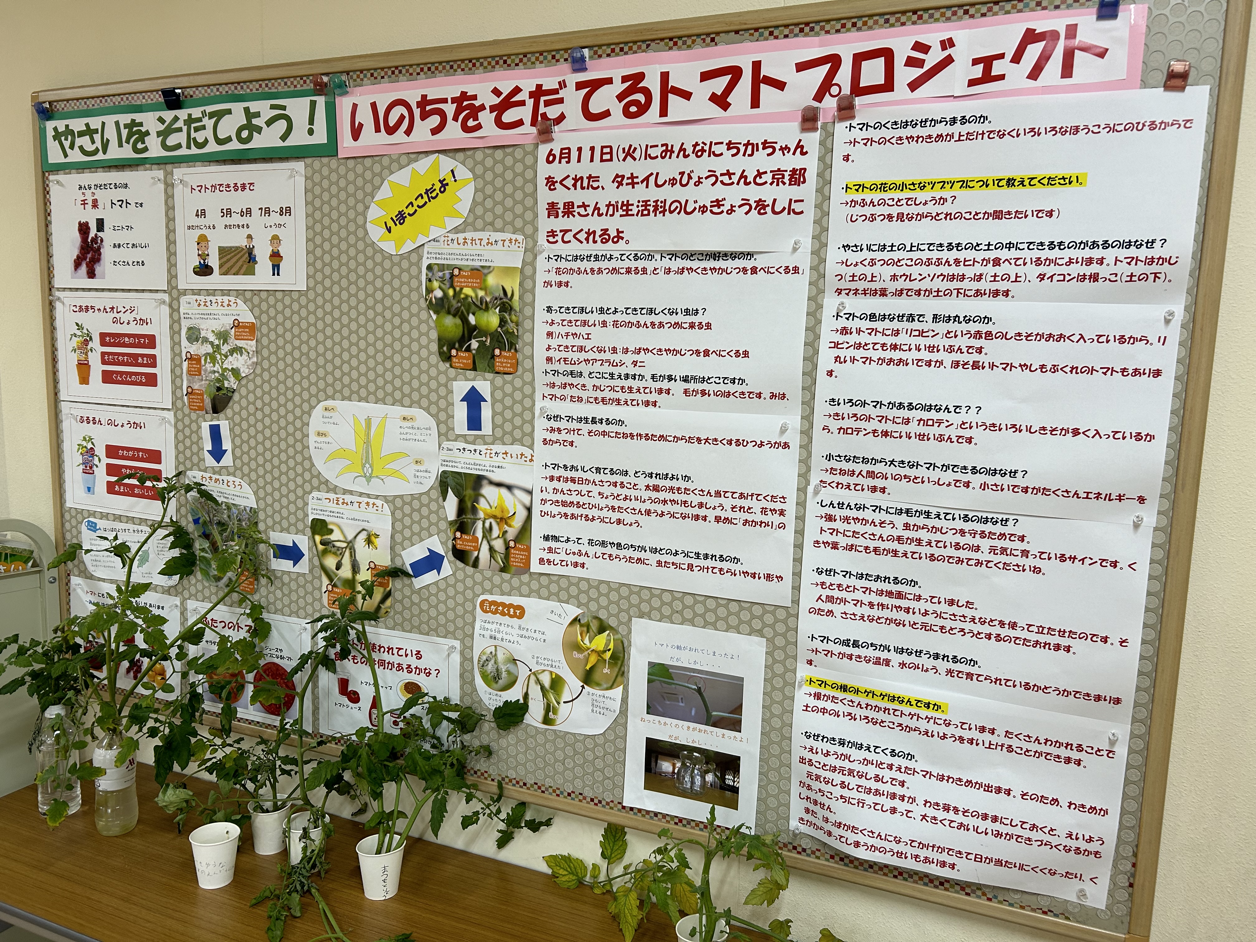 primary2/blog/detail/img/20240701-2