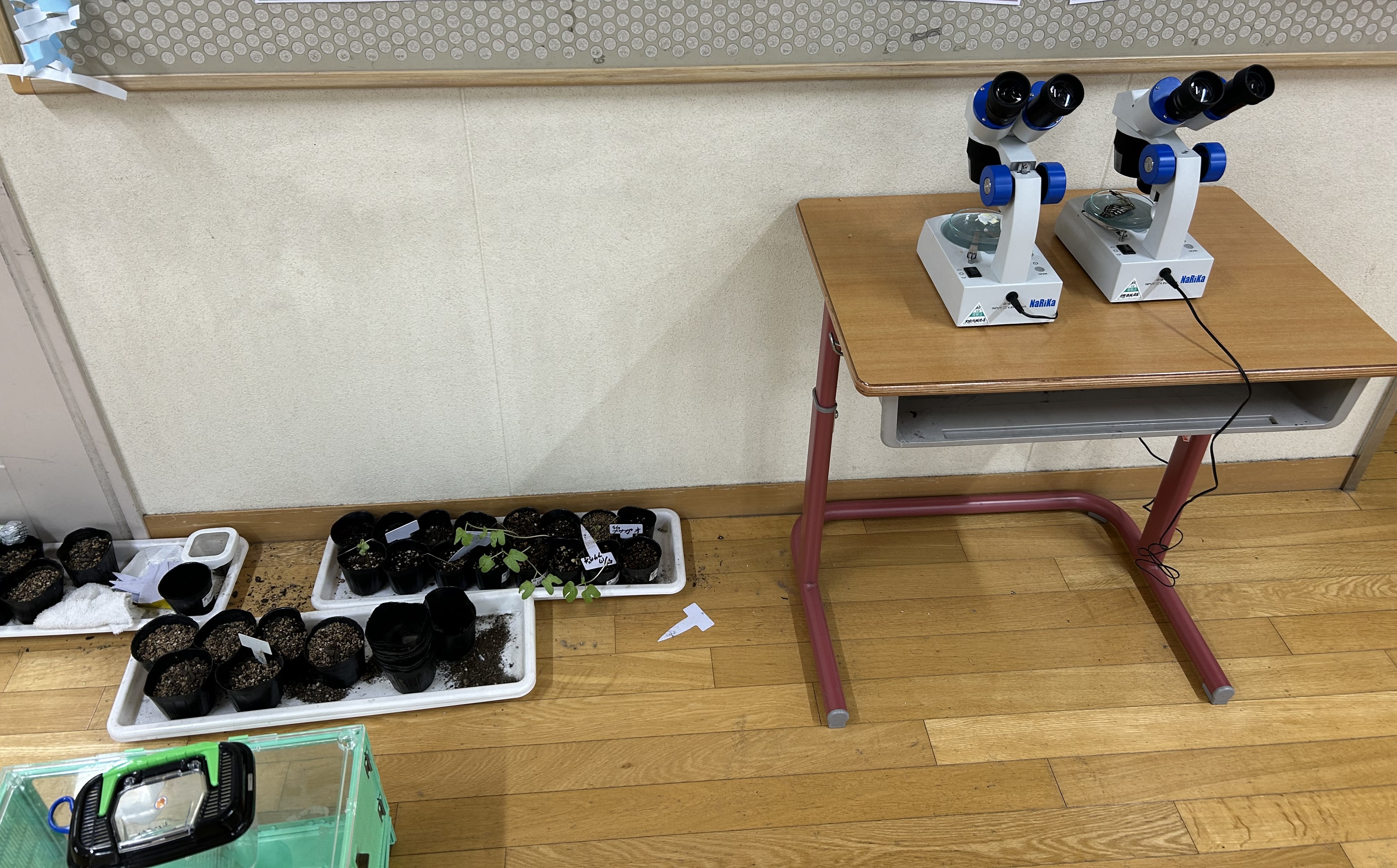 primary2/blog/detail/img/20240701-3