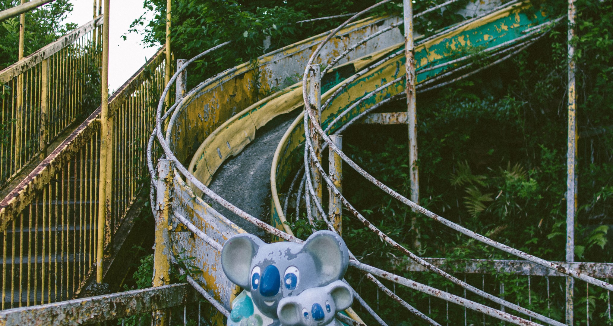 [この問題]⑦母校写真01