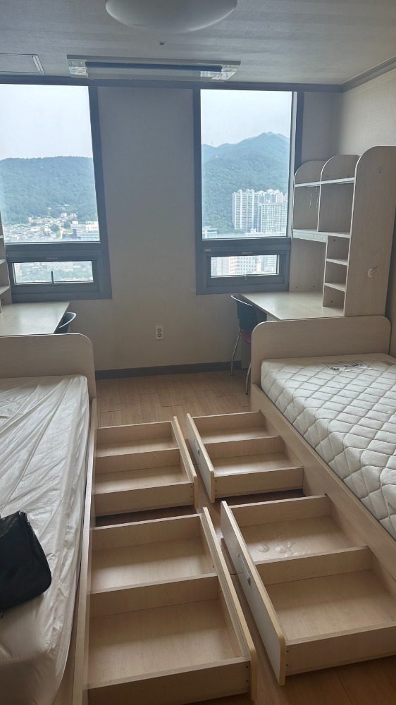 blog240805-1