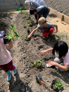 【sdgs/activities】20241004-1