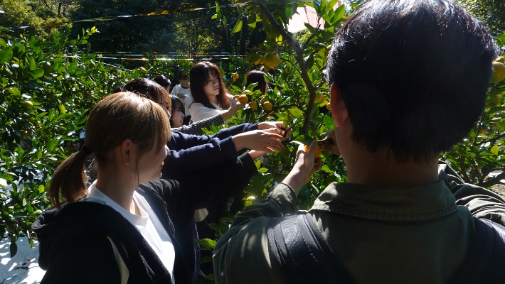 ozawa03_20241021