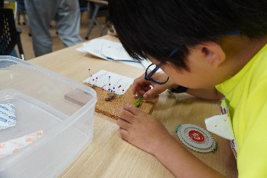 【sdgs/activities】20241021-7