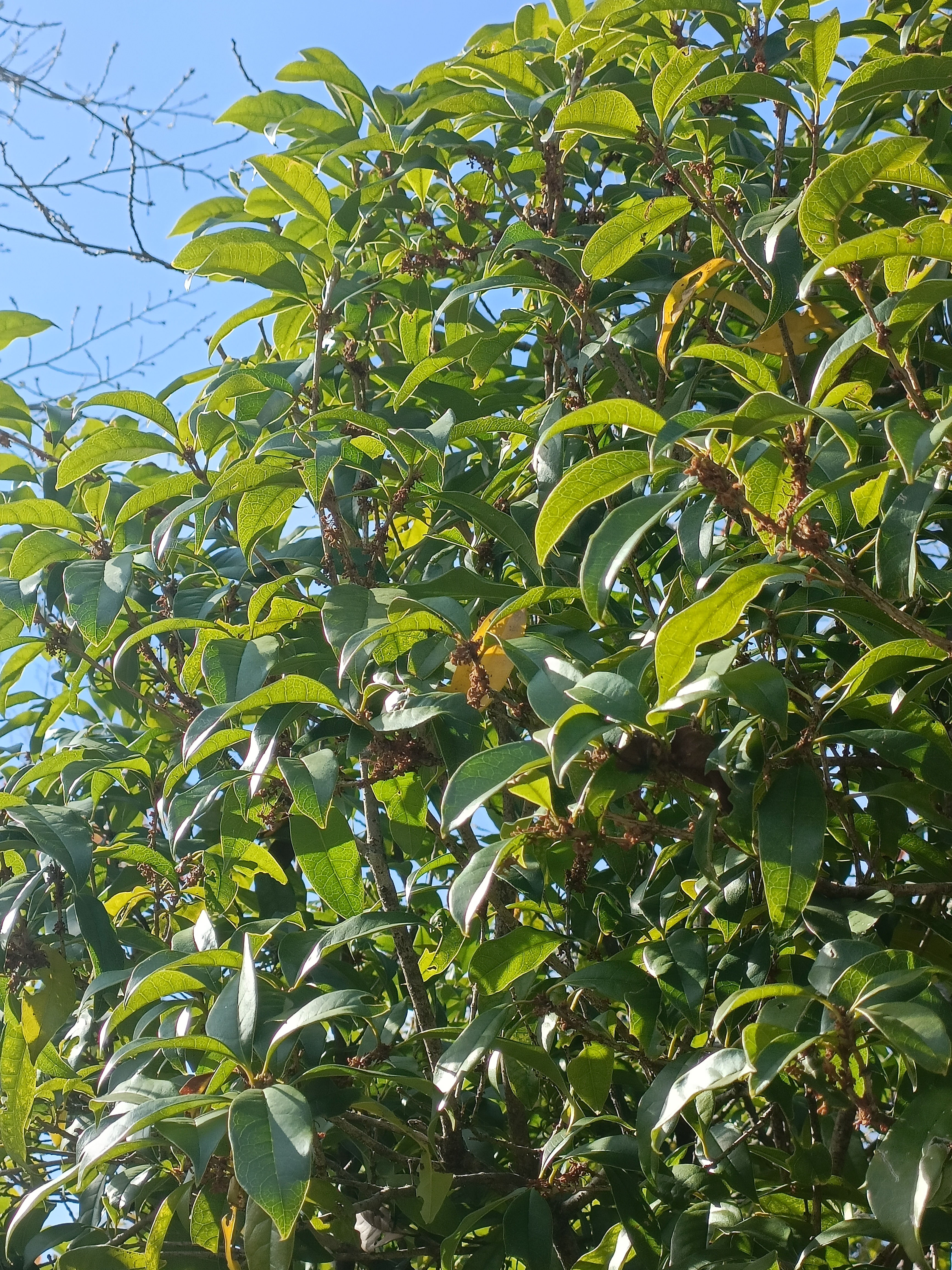blog241112-01
