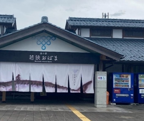 shimada01_20241118