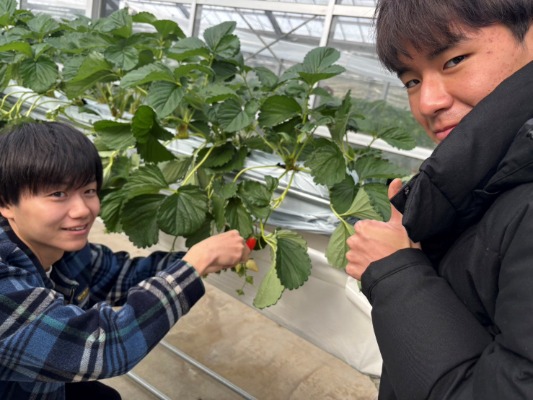harimoto05_20241217