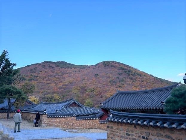 blog241225-01