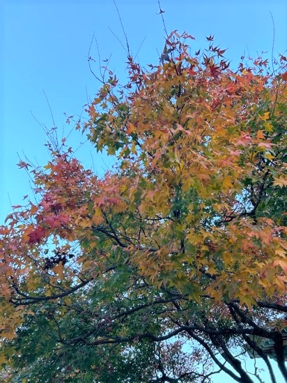 blog241225-02