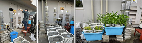 写真4