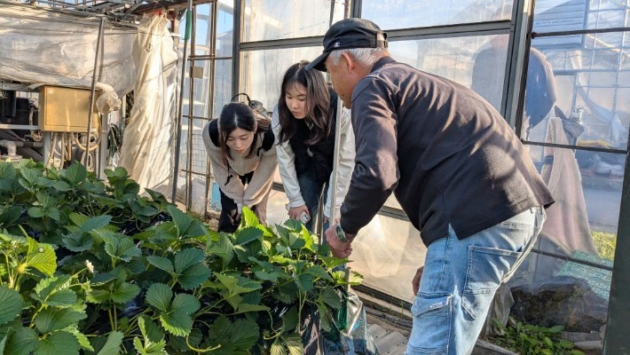 takada03_20250212